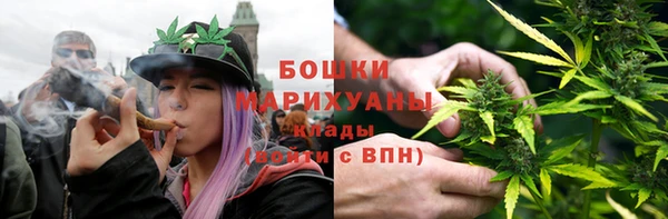 ГАЛЛЮЦИНОГЕННЫЕ ГРИБЫ Бородино