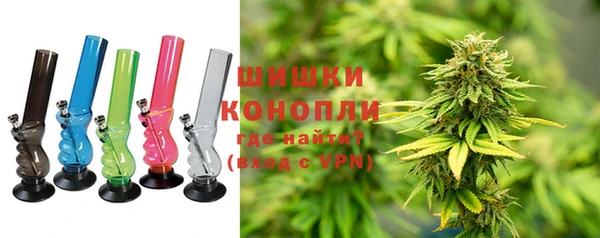 бошки Богородицк