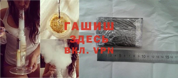 ГАЛЛЮЦИНОГЕННЫЕ ГРИБЫ Бородино