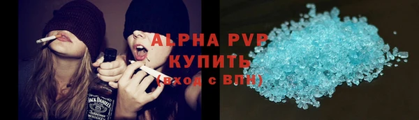 ГАЛЛЮЦИНОГЕННЫЕ ГРИБЫ Бородино