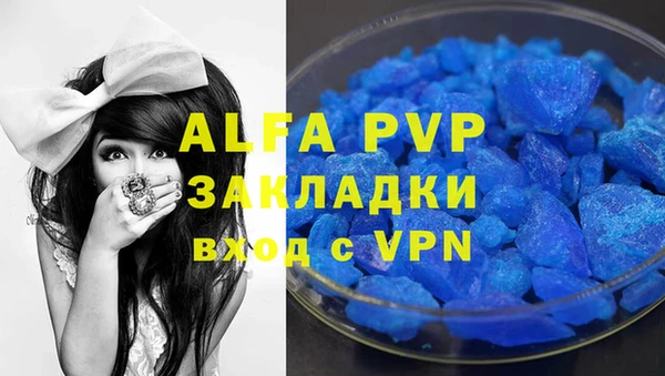 ГАЛЛЮЦИНОГЕННЫЕ ГРИБЫ Бородино